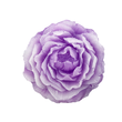 紫色月季花皂